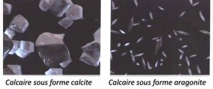 Amilo traite le calcaire naturellement