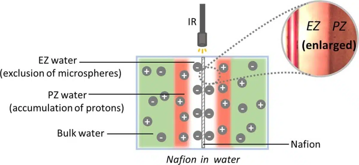 Membrane hydrophile, gel alcalin de l'eau